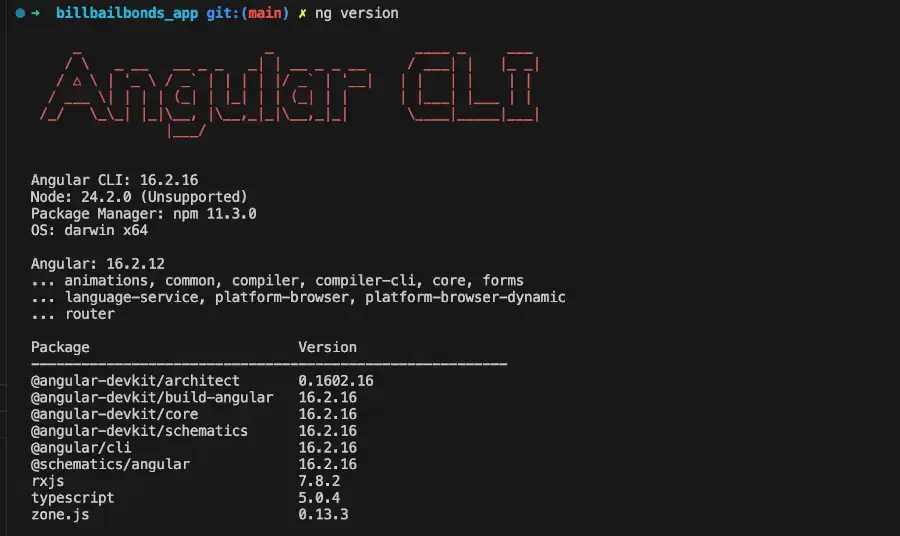 Screenshot of CLI showing the current Angular Version, by Top Miami Software.