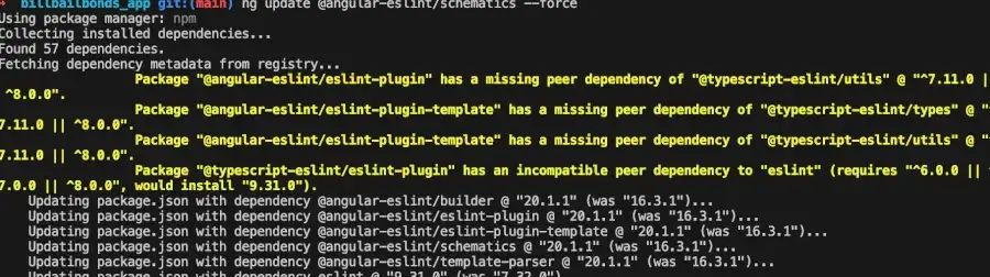 Image of updating to Angular 20 after using the force flag.